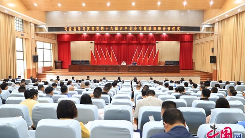 成人高考科目分值分布揭秘：各科占比与备考策略